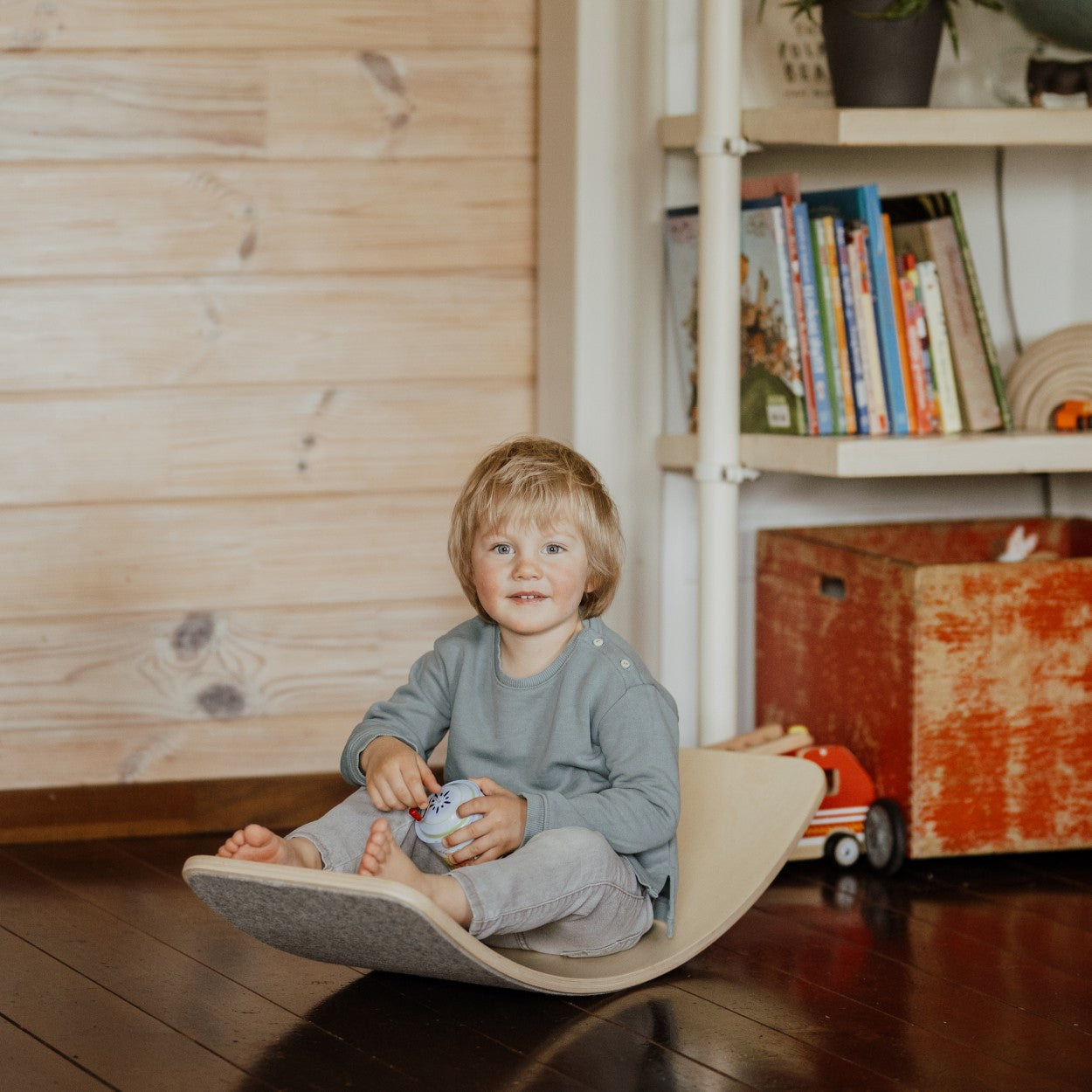Medinė balansinė lenta su pilku veltiniu - BureiKids