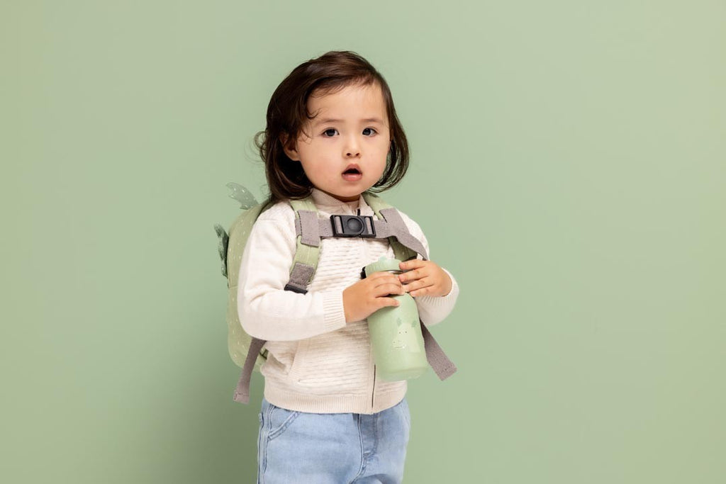 Nerūdijančio plieno gertuvė 350 ml - Ponas Drakonas - BureiKids
