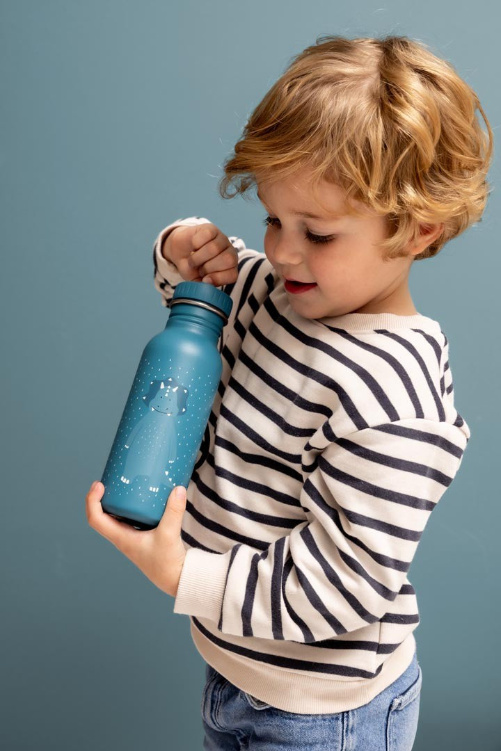 Nerūdijančio plieno gertuvė 350 ml - Ponas Triceratopsas - BureiKids