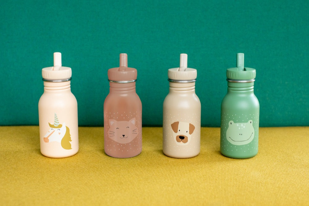 Nerūdijančio plieno gertuvė 350 ml - Ponas Katinas   - BureiKids