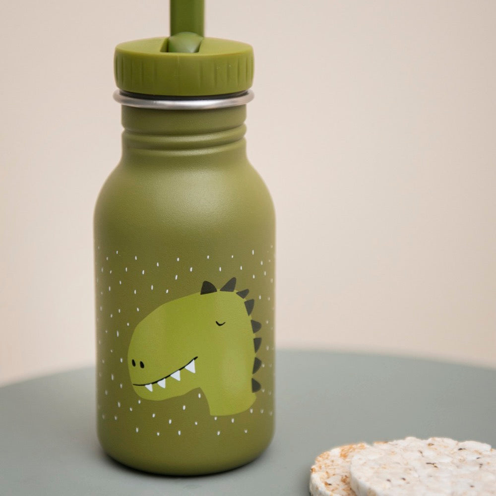 Nerūdijančio plieno gertuvė vaikams 350 ml - Ponas Dinozauras - BureiKids