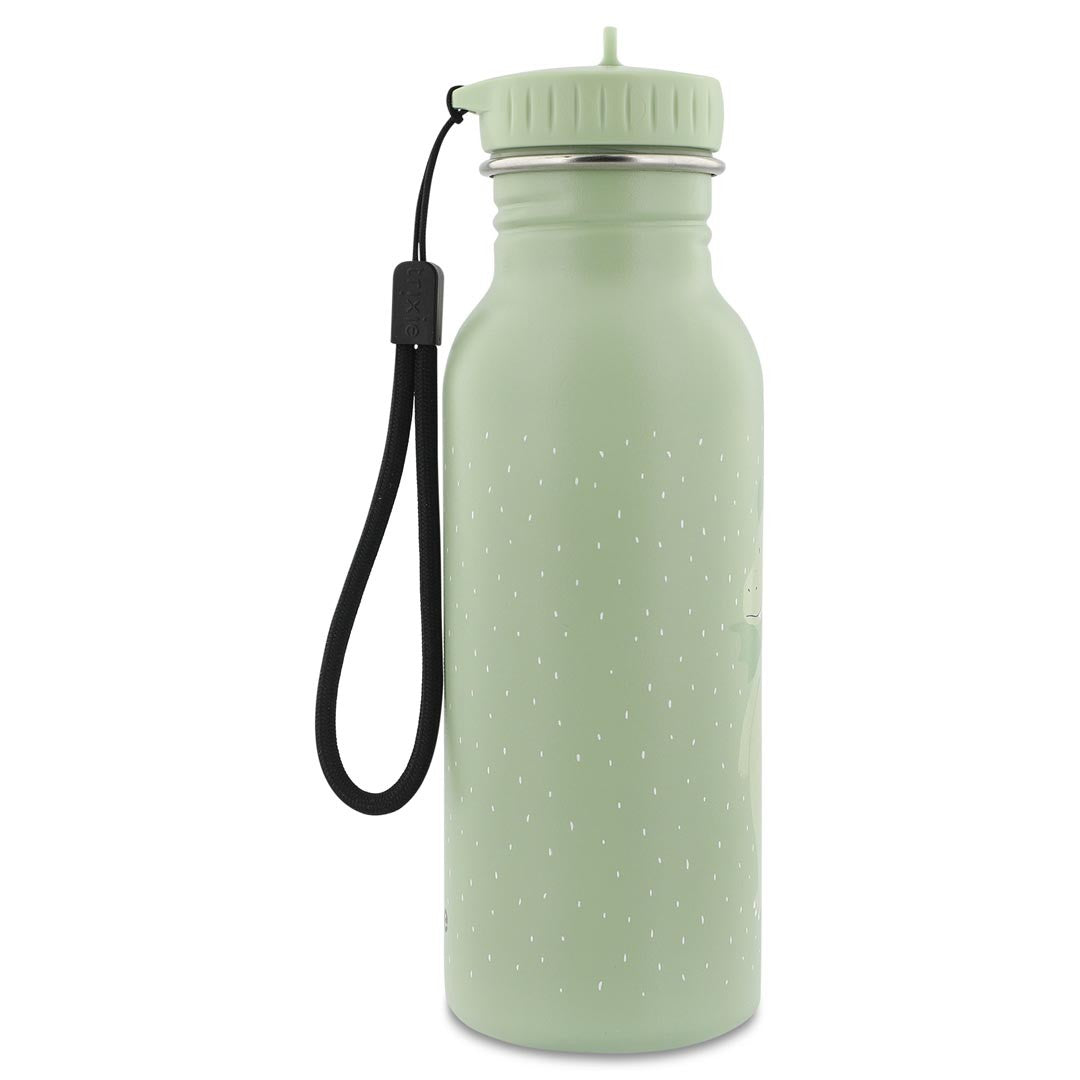 Nerūdijančio plieno gertuvė vaikams 500 ml - Ponas Drakonas - BureiKids