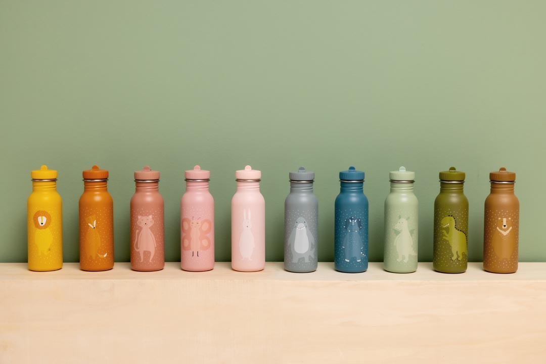 Nerūdijančio plieno gertuvė vaikams 500 ml - Ponas Drakonas - BureiKids