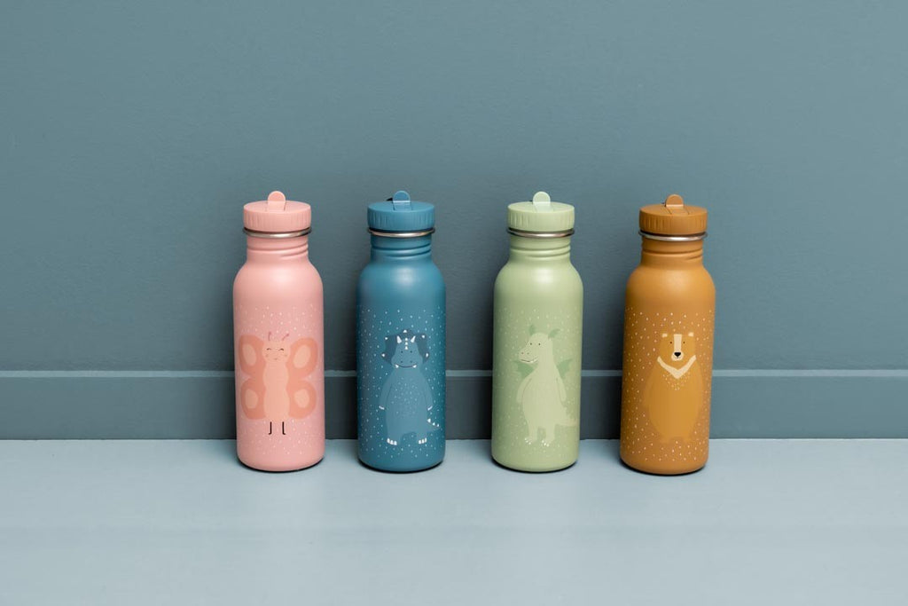 Nerūdijančio plieno gertuvė vaikams 500 ml - Ponas Drakonas - BureiKids
