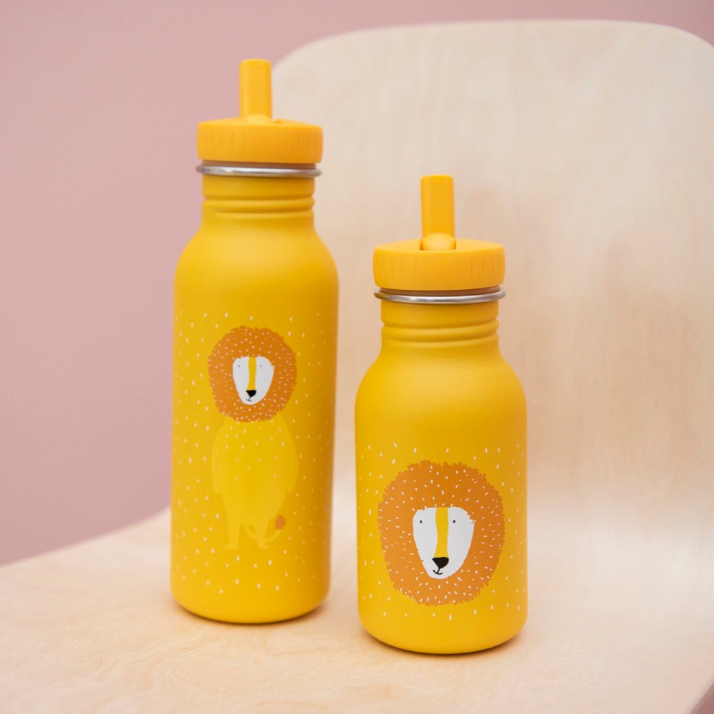 Nerūdijančio plieno gertuvė vaikams 500 ml - Ponas Liūtas - BureiKids