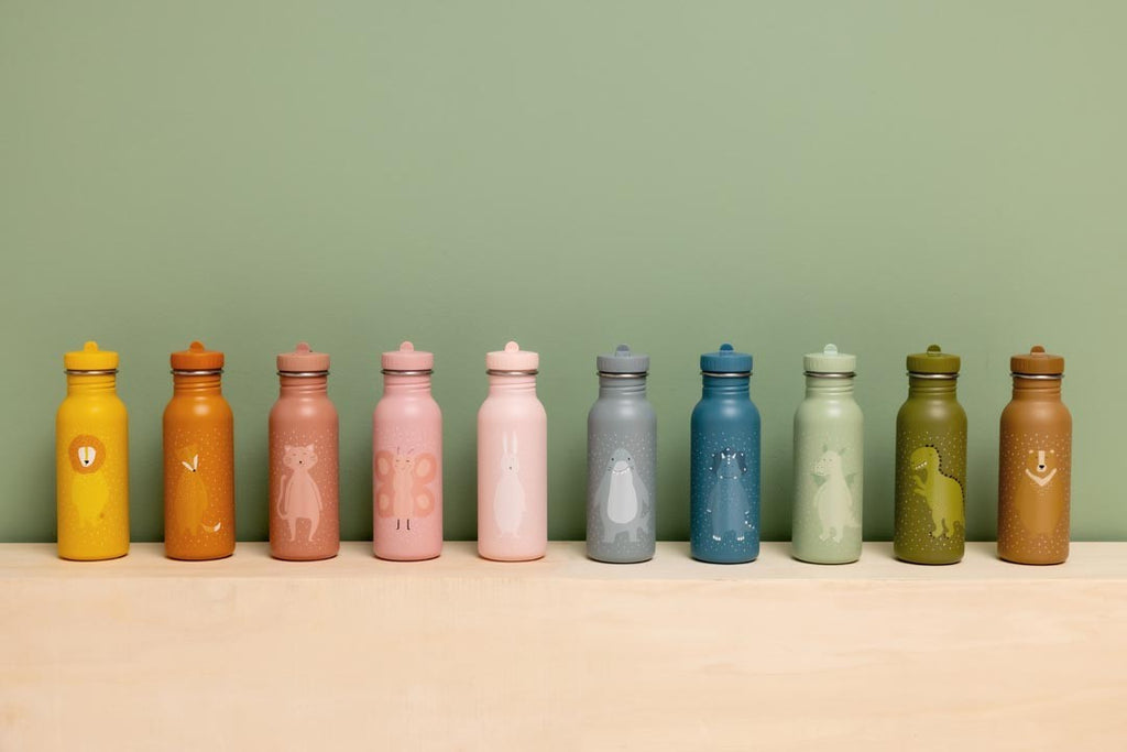Nerūdijančio plieno gertuvė vaikams 500 ml - Ponas Drugelis - BureiKids