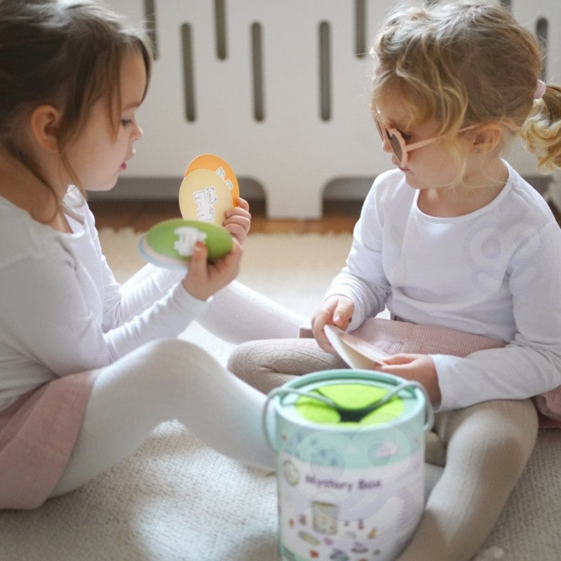 Paslapčių dėžutė „Paliesk ir atpažink“ - BureiKids
