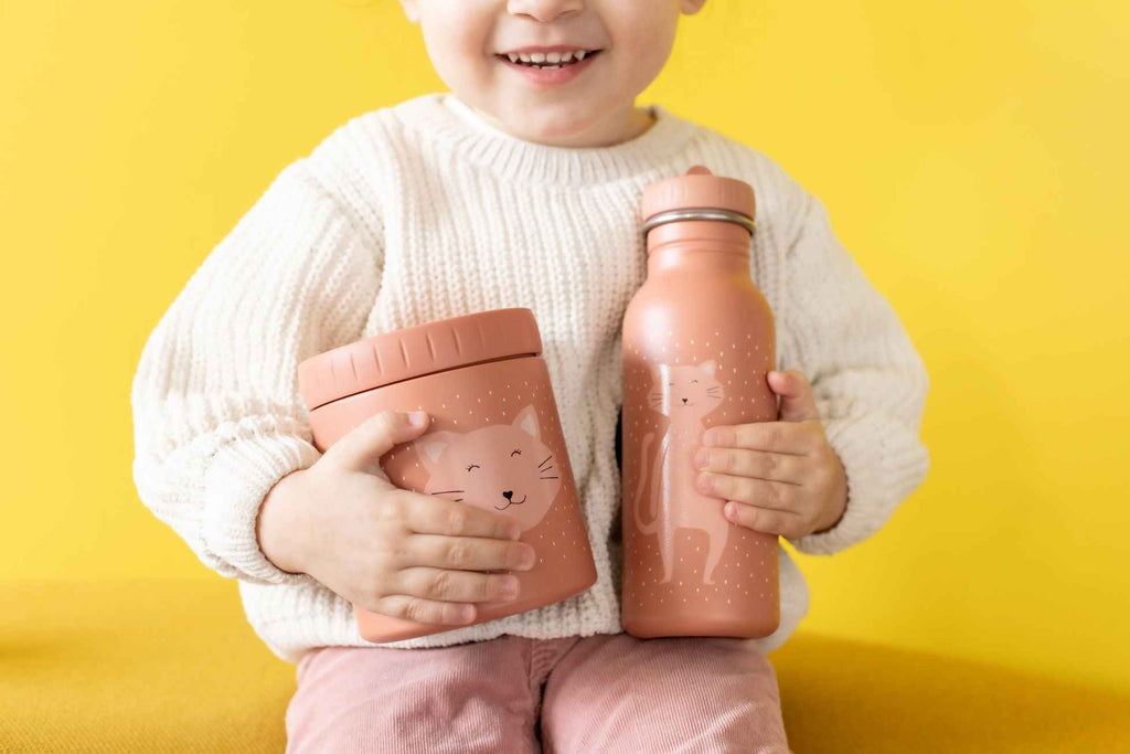 Termosas maistui vaikams 500ml - Ponas Katinas  - BureiKids