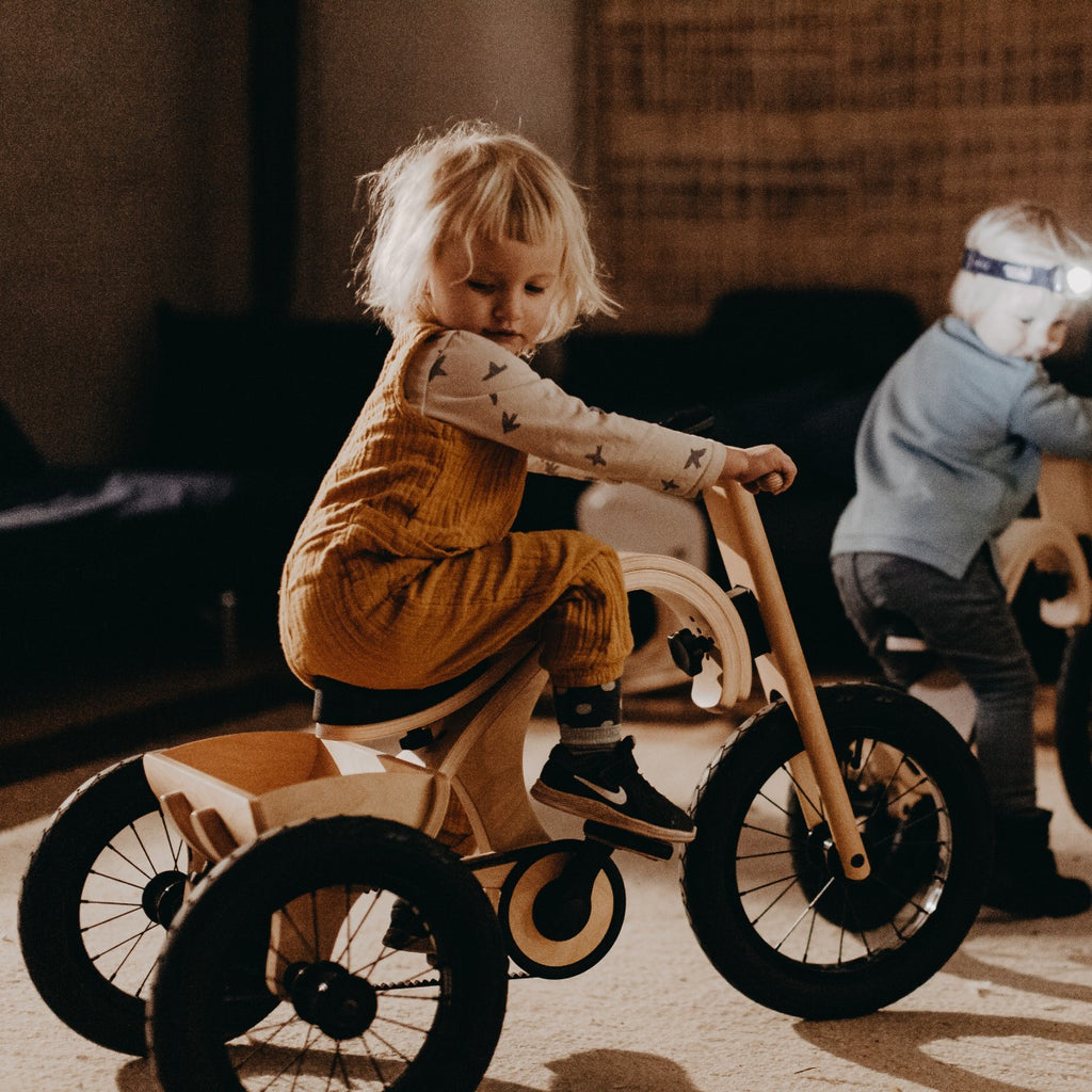 Triratuko priedas „Leg&Go“ 3in1 balansiniam dviratukui - BureiKids