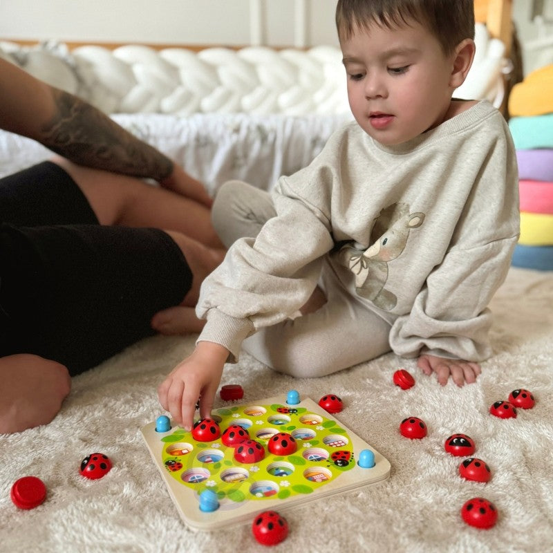 Wooden Educational Memory Puzzle Ladybugs